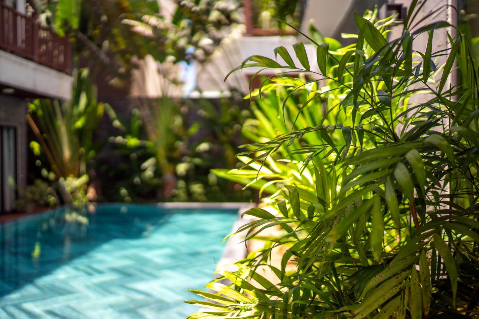 December Hoi An Villa Kültér fotó